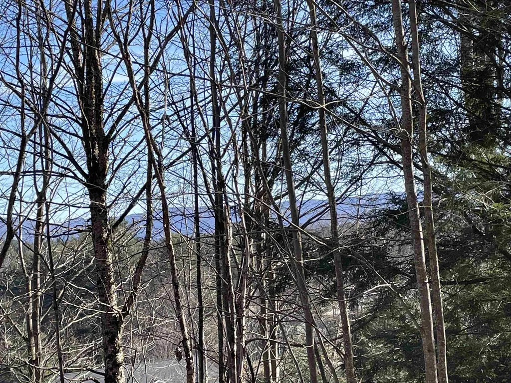 Lot 4 Haley Drive Hyde Park VT 05655