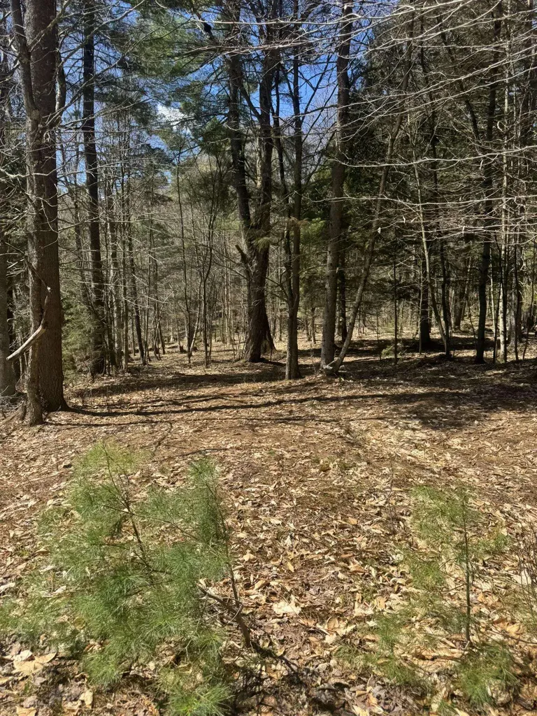 Lot 4 Haley Drive Hyde Park VT 05655