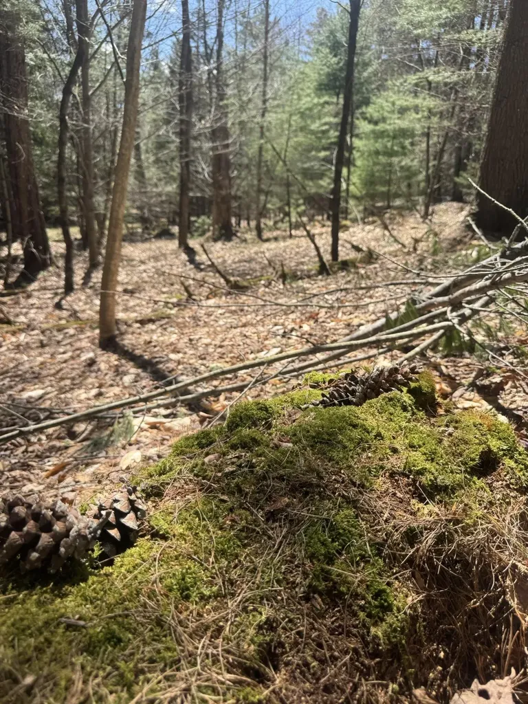 Lot 4 Haley Drive Hyde Park VT 05655