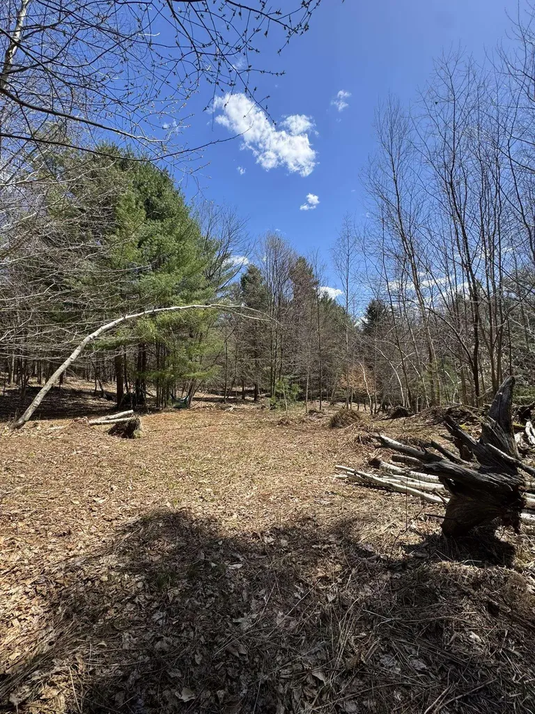 Lot 4 Haley Drive Hyde Park VT 05655