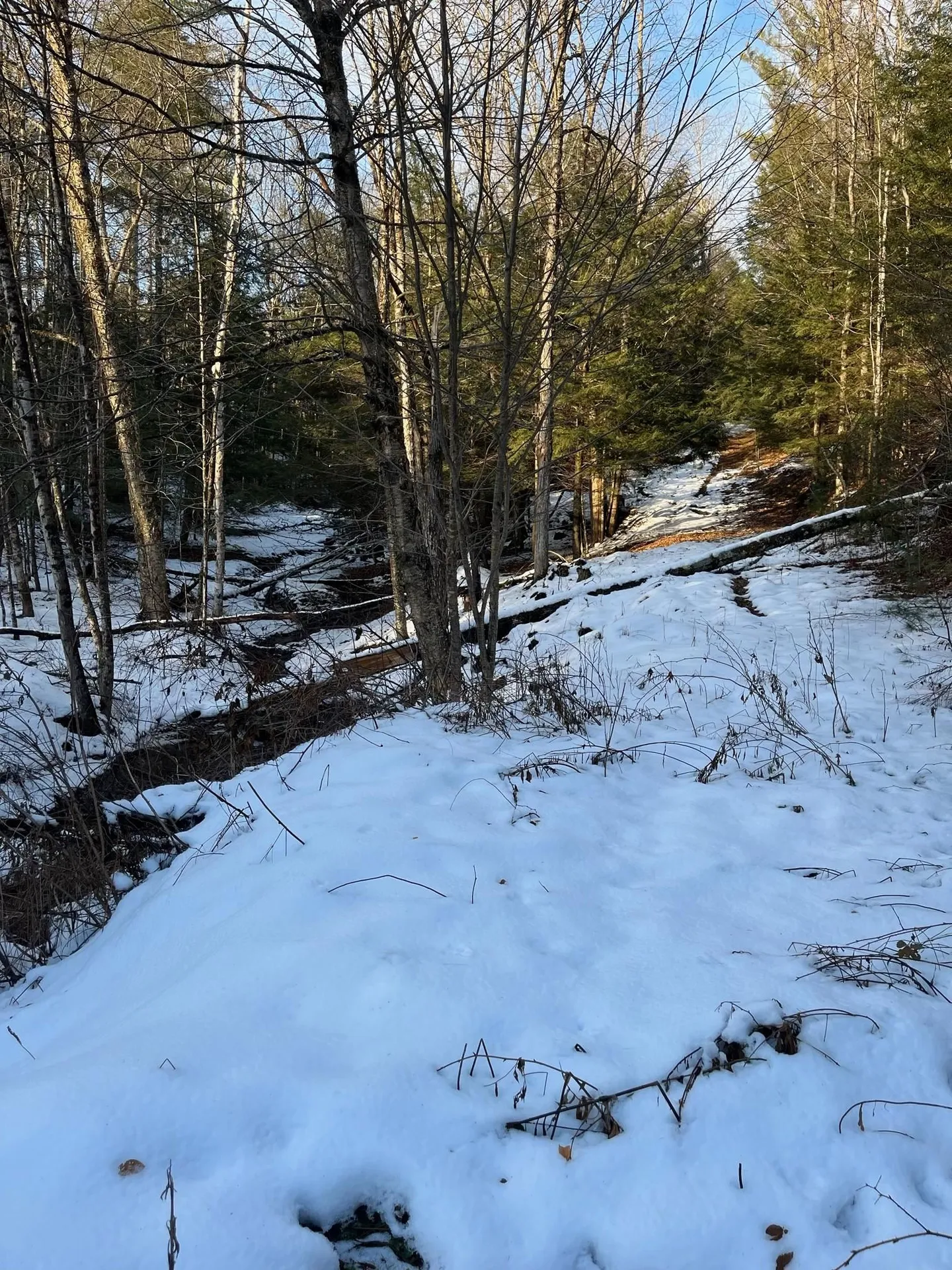 Lot 4 Haley Drive Hyde Park VT 05655