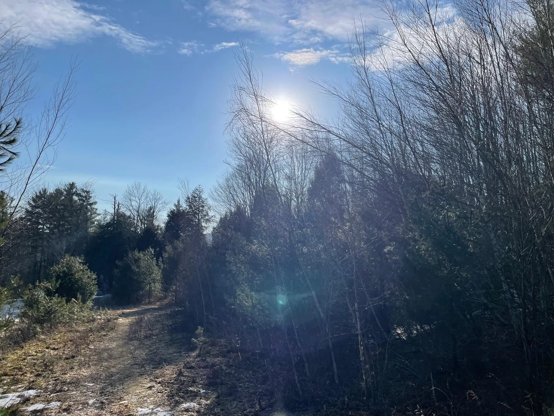 Lot 4 Haley Drive Hyde Park VT 05655
