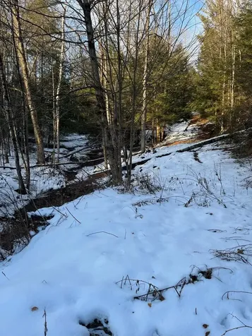 Lot 4 Haley Drive Hyde Park VT 05655