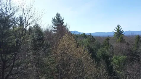 Lot 4 Haley Drive Hyde Park VT 05655