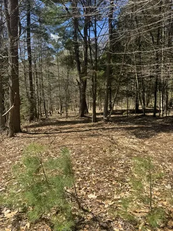 Lot 4 Haley Drive Hyde Park VT 05655