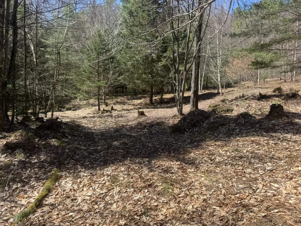4 & 5 Haley Drive Hyde Park VT 05655