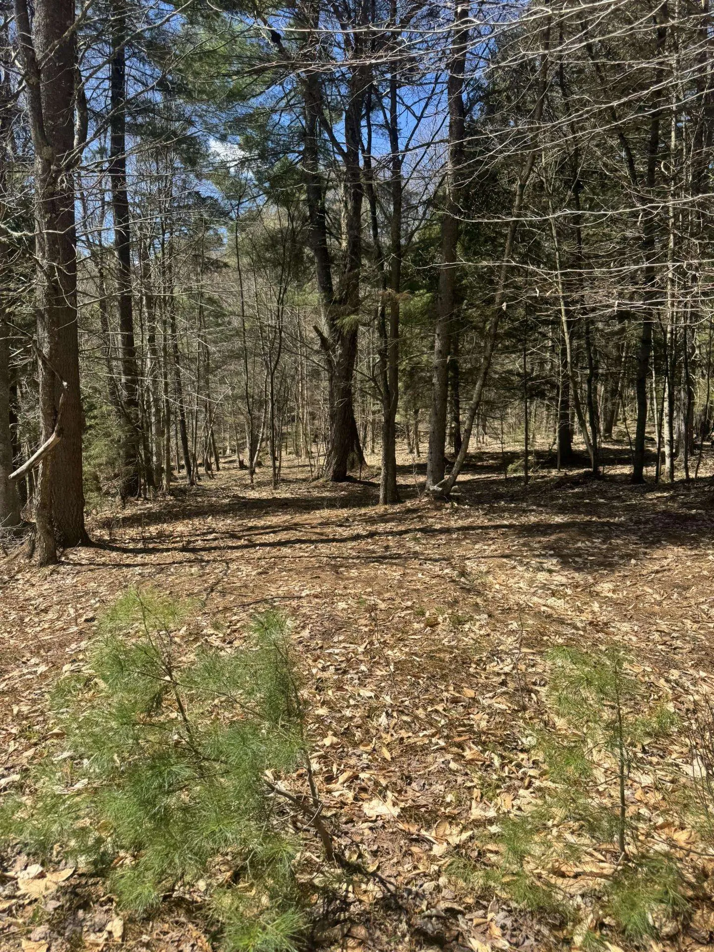 4 & 5 Haley Drive Hyde Park VT 05655