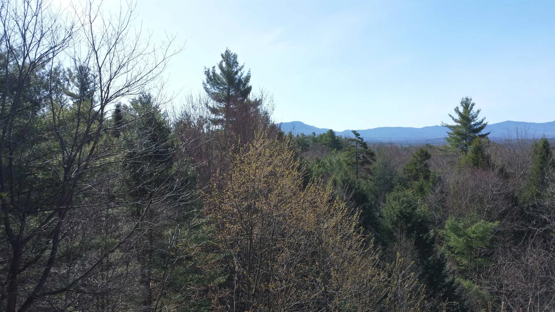 4 & 5 Haley Drive Hyde Park VT 05655
