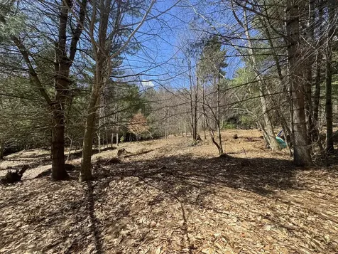 4 & 5 Haley Drive Hyde Park VT 05655