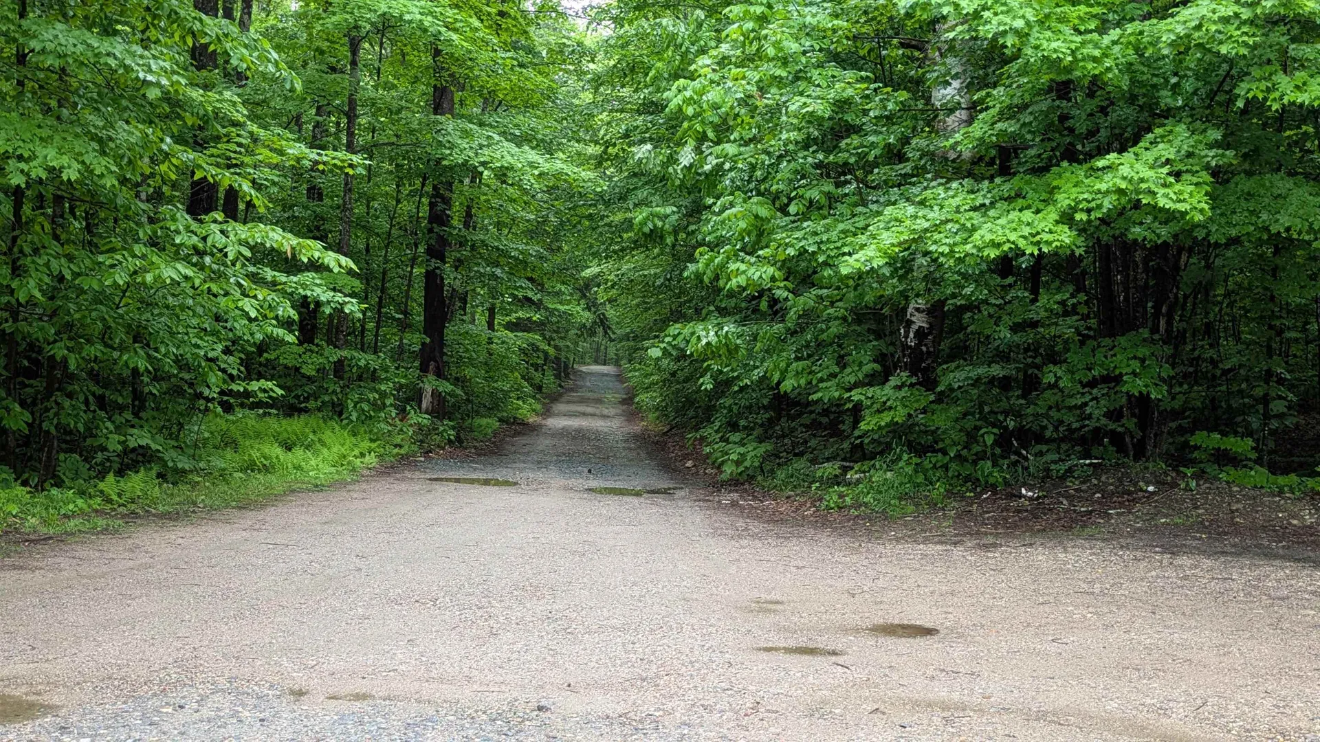 34 Hubbard Grove Road Shelburne NH 03581