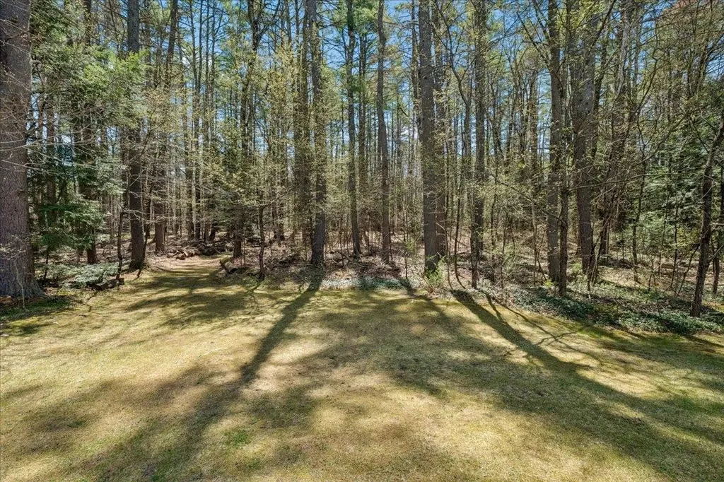 321 Spring Street Hopkinton NH 03229-3150