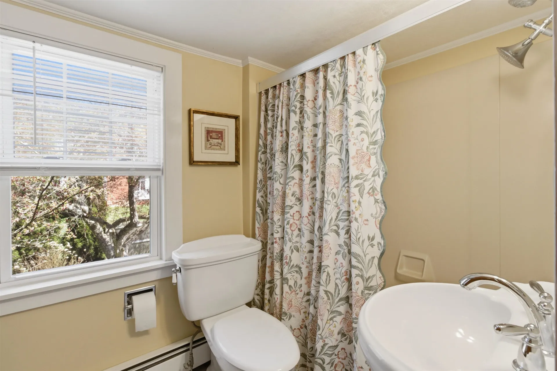 302 Prospect Street Bennington VT 05201