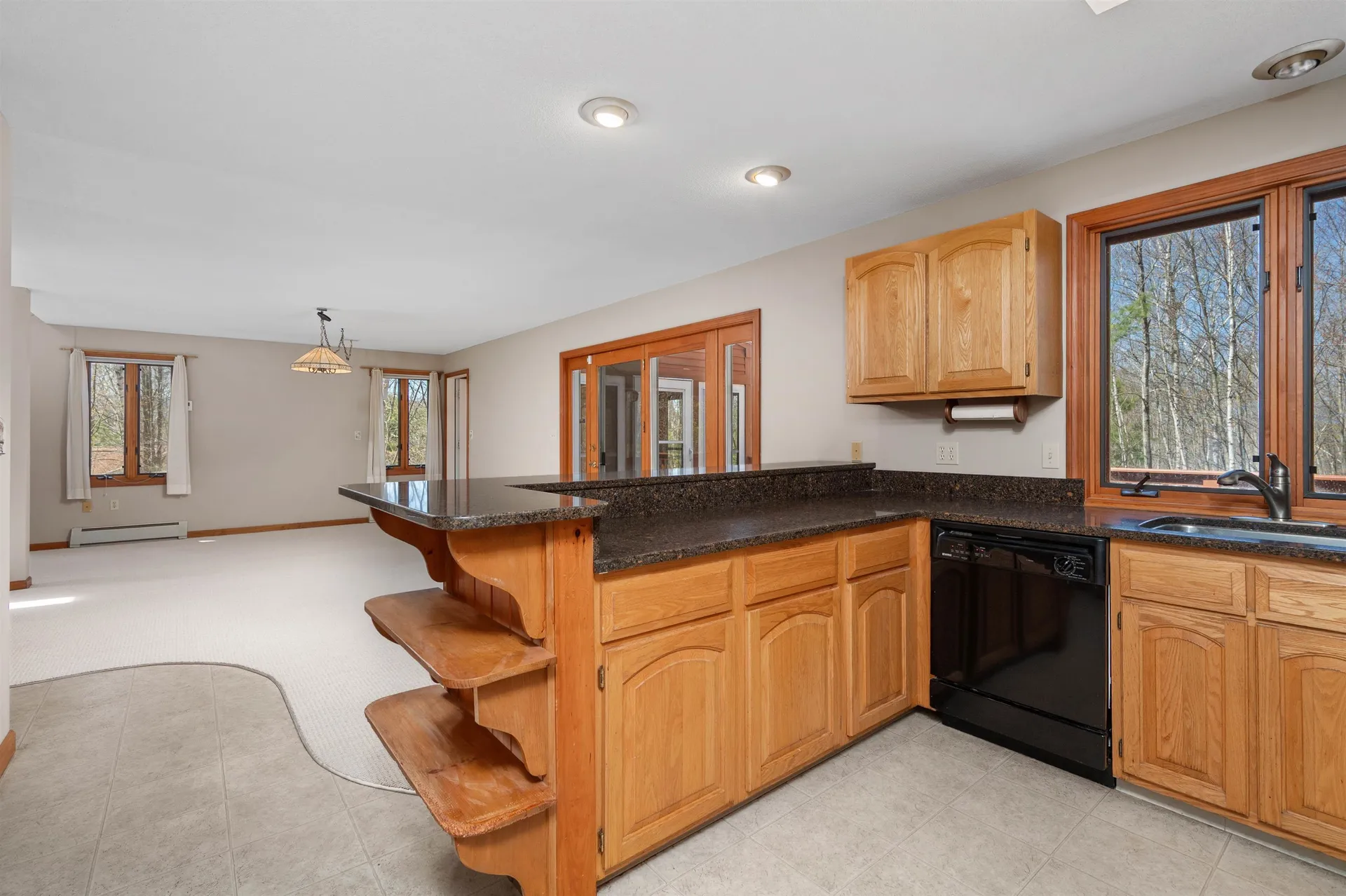 265 Upper Birch Drive Bristol NH 03222