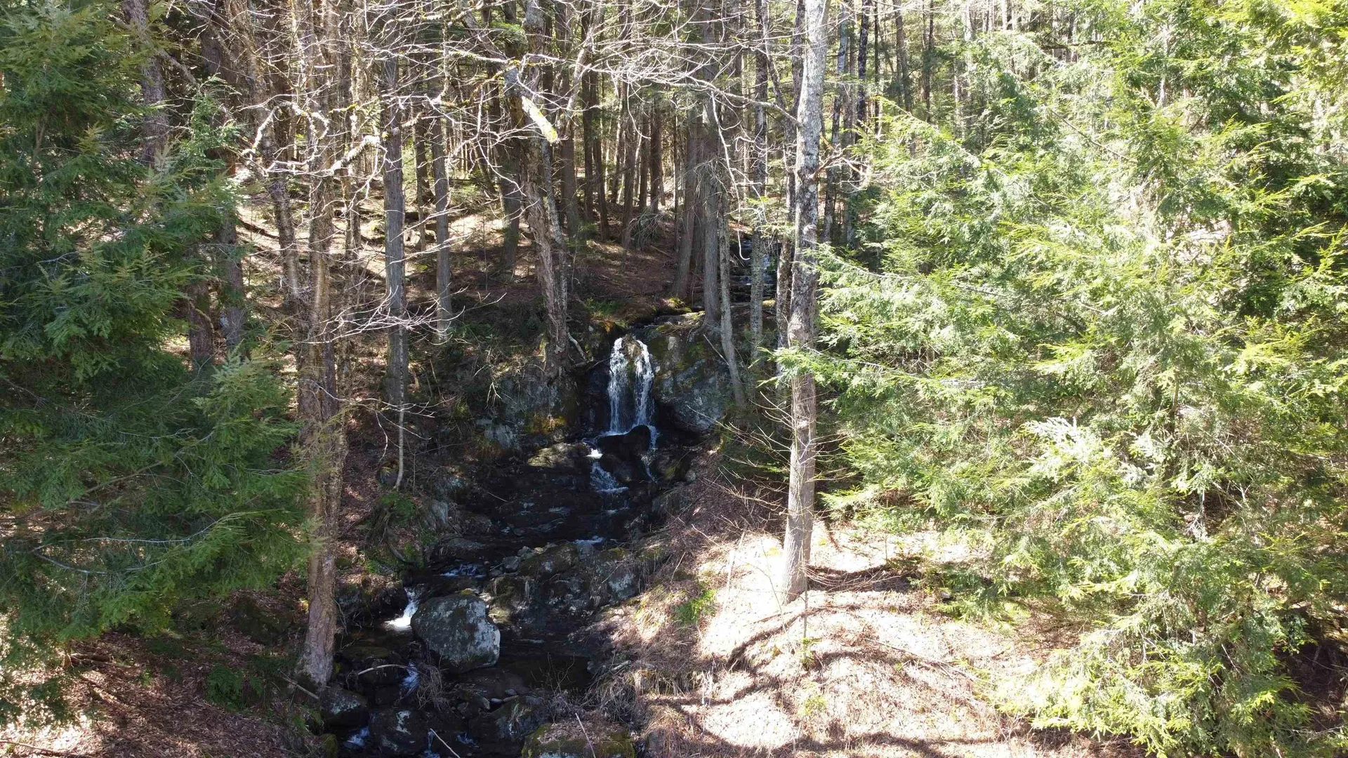 2770 Route 100 Westfield VT 05874
