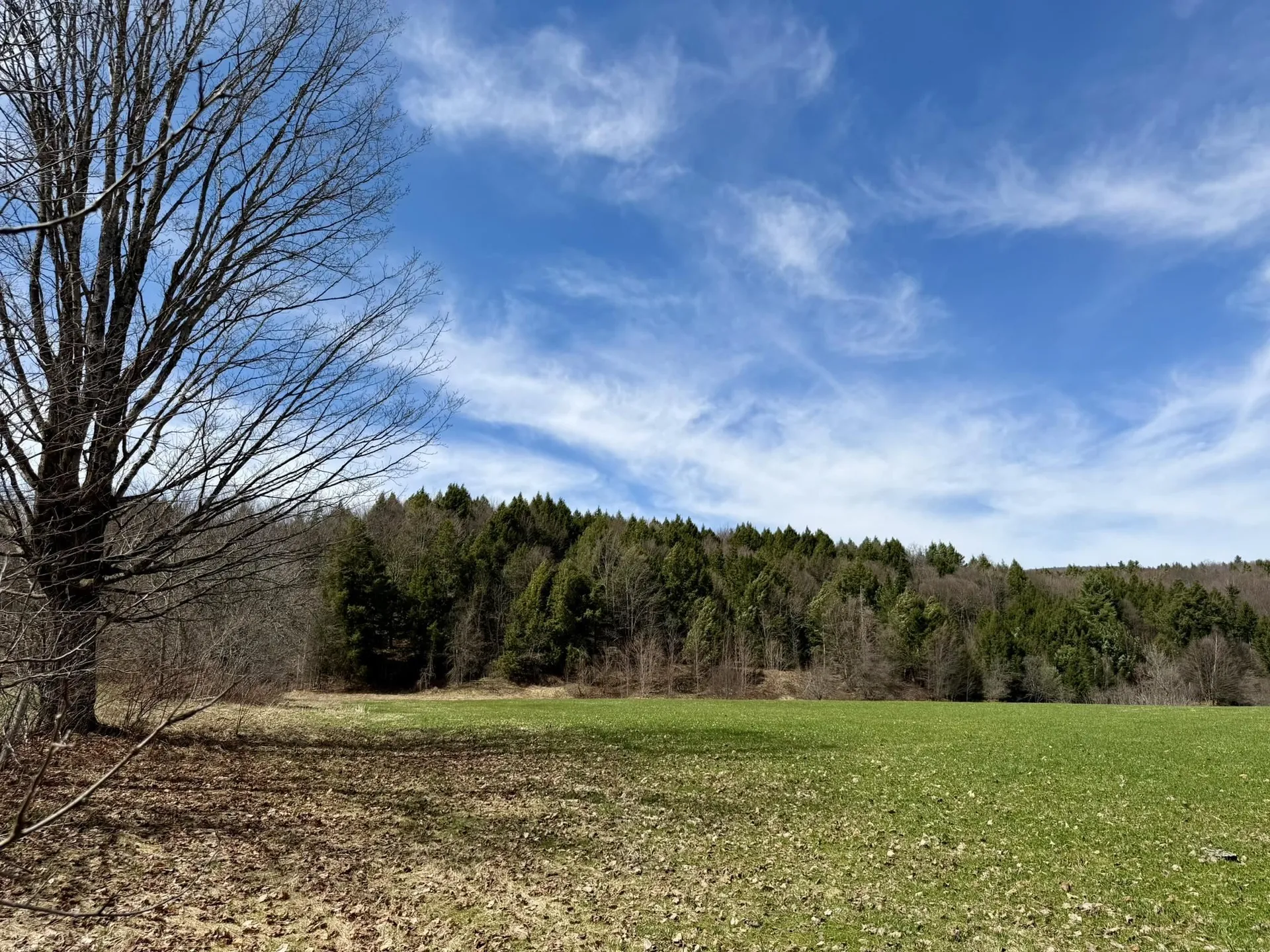 2770 Route 100 Westfield VT 05874