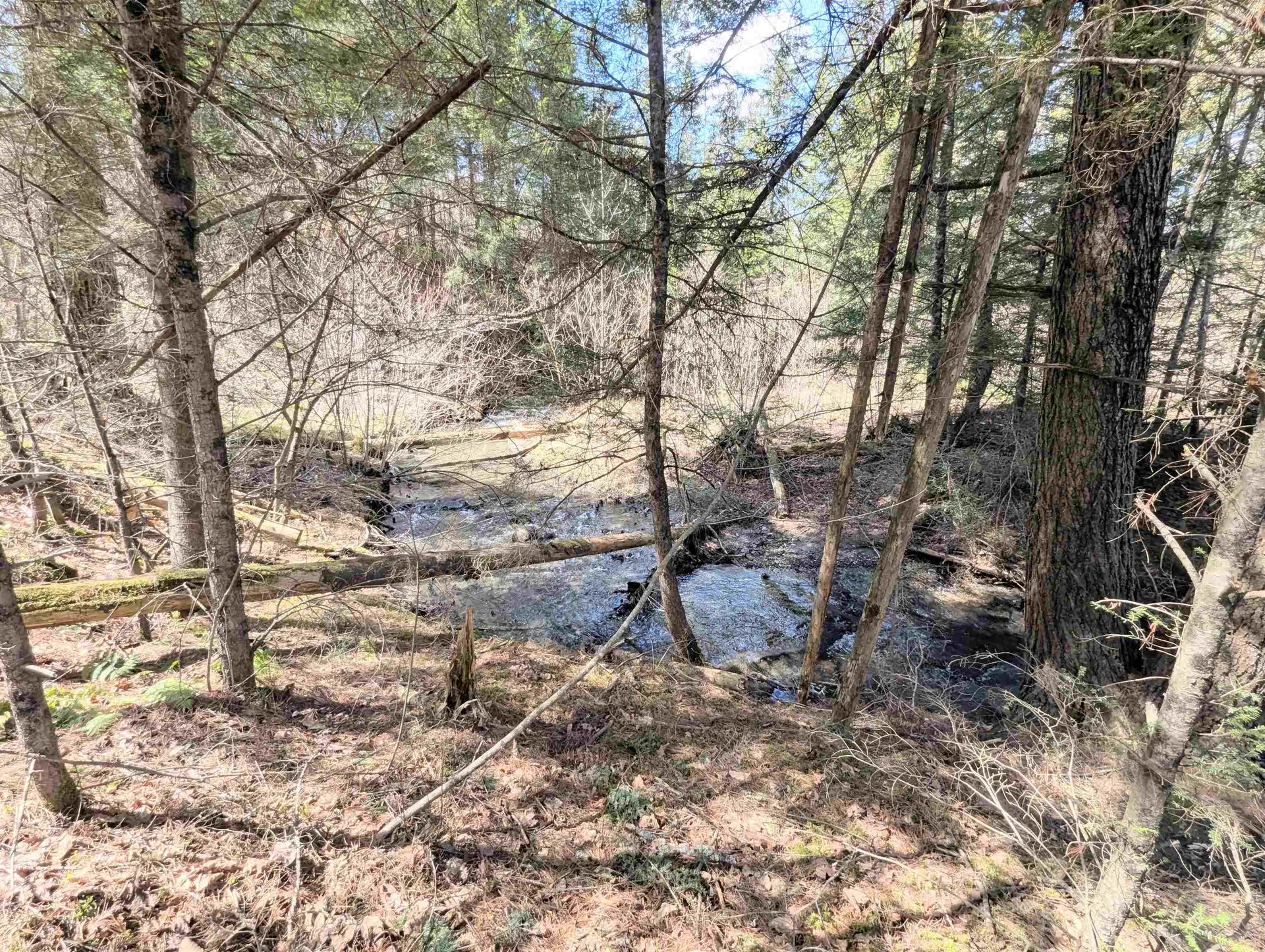 131 Old Bradley Road St. Johnsbury VT 05819