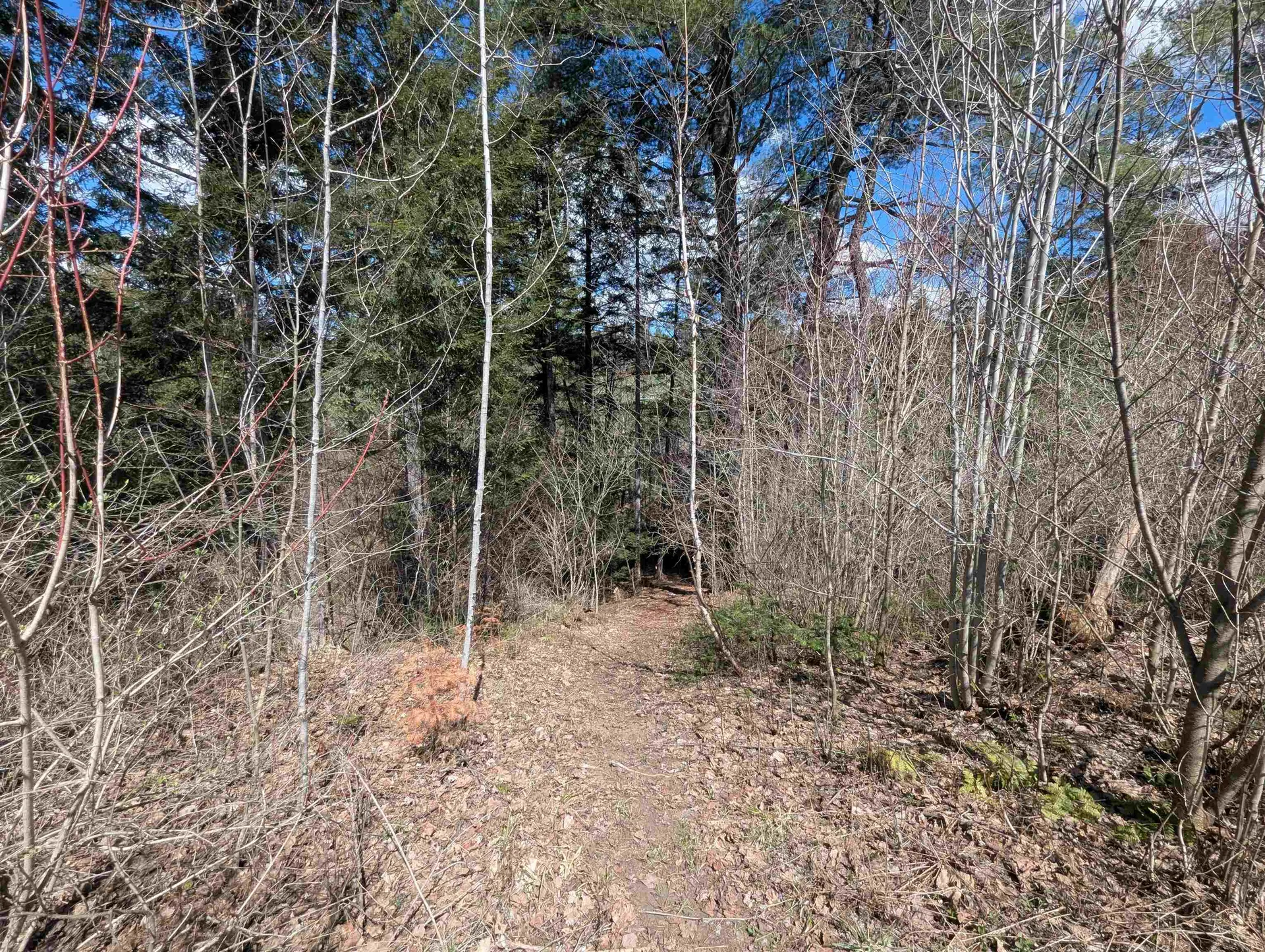131 Old Bradley Road St. Johnsbury VT 05819