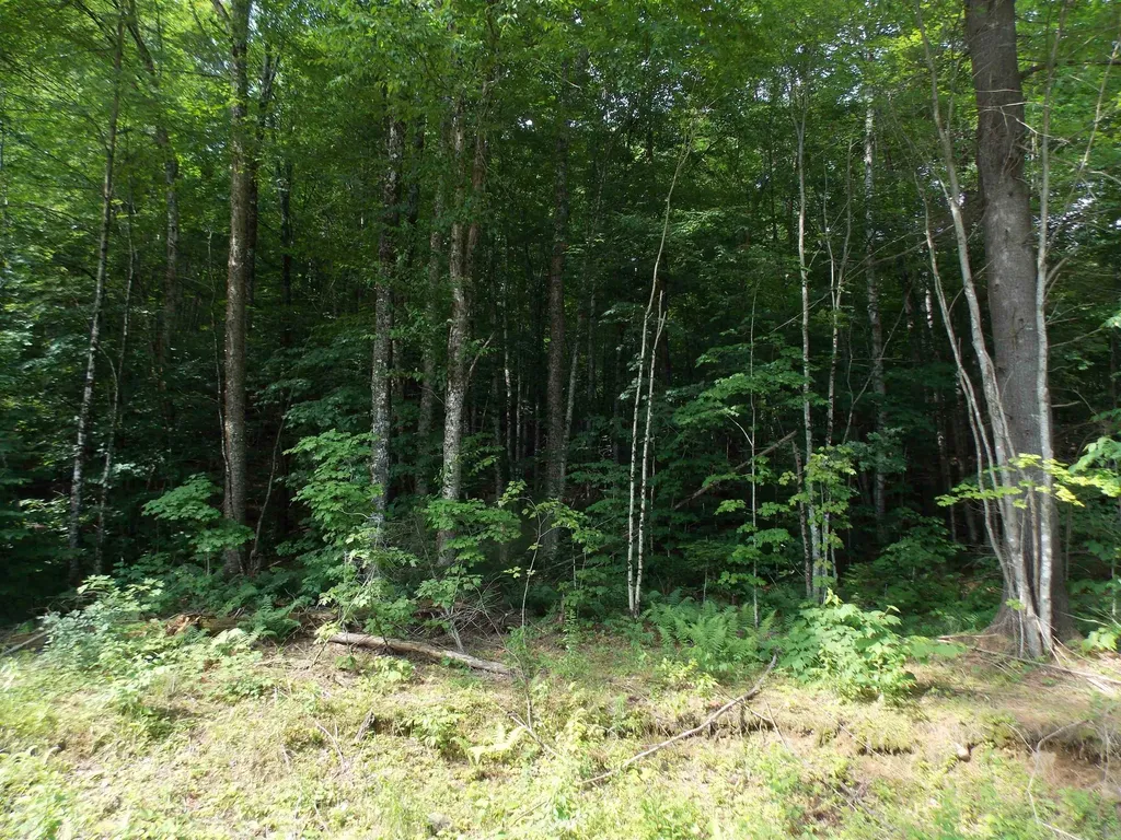 939 U.s. Route 5 Sutton VT 05867