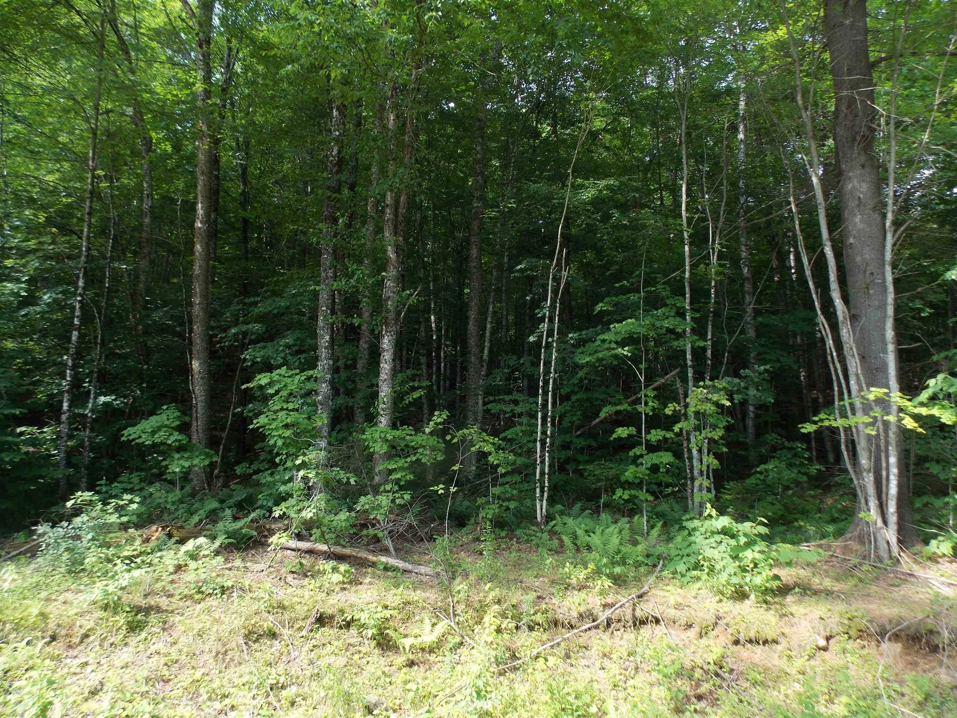 939 U.s. Route 5 Sutton VT 05867