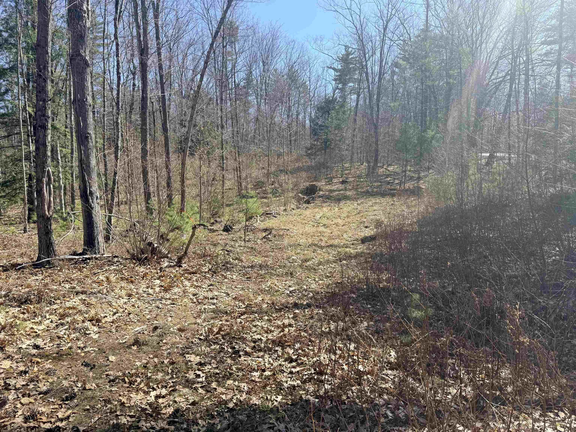 Map 208 Lot 8-2 Baptist Hill Road Canterbury NH 03224
