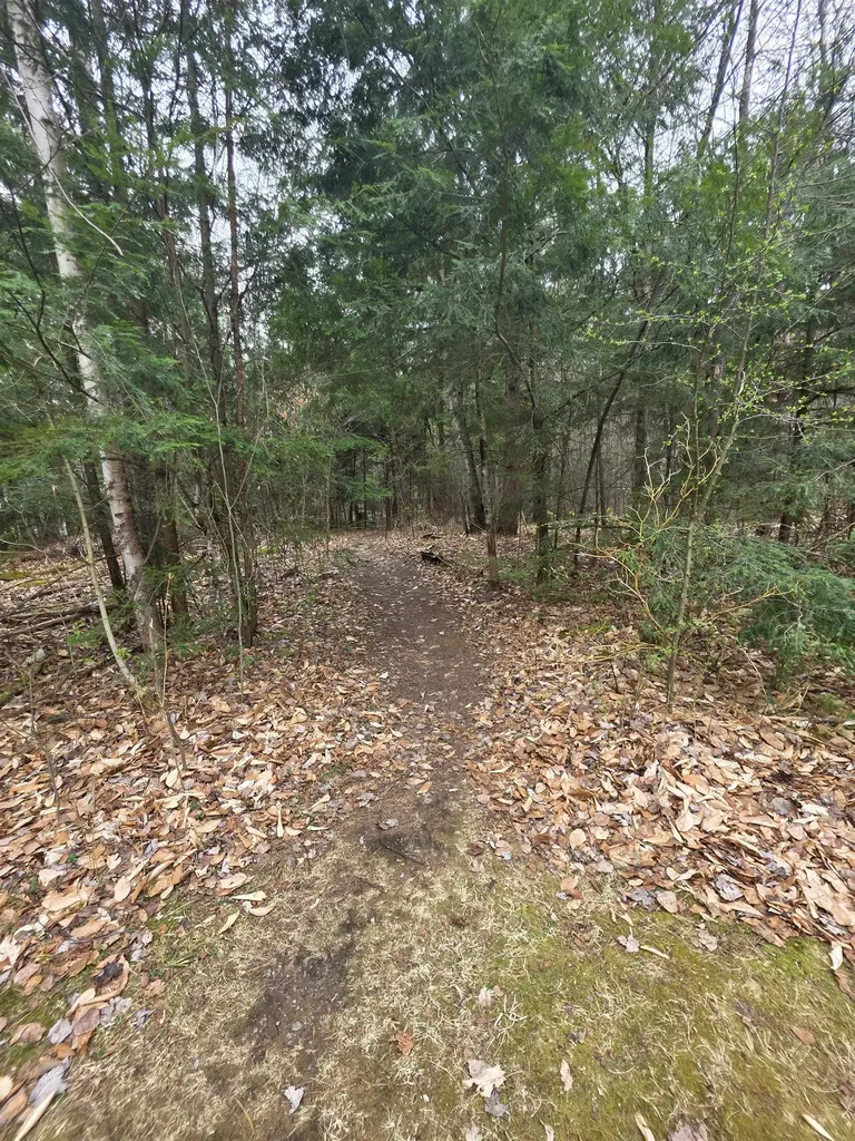 48C Starbird Road Jericho VT 05465