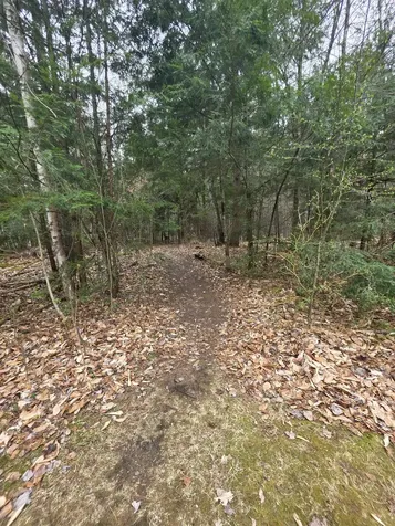 48C Starbird Road Jericho VT 05465