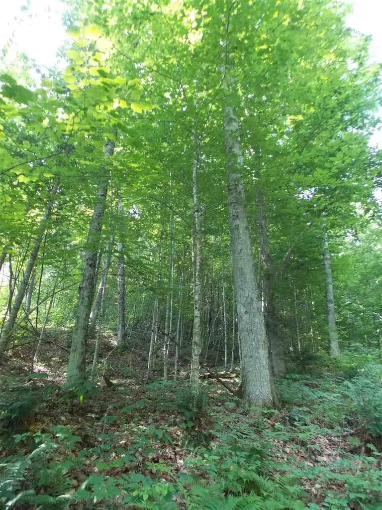 939 U.s. Route 5 Sutton VT 05867