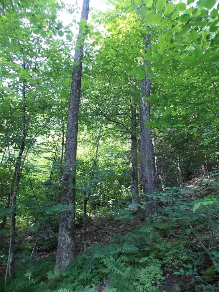 939 U.s. Route 5 Sutton VT 05867