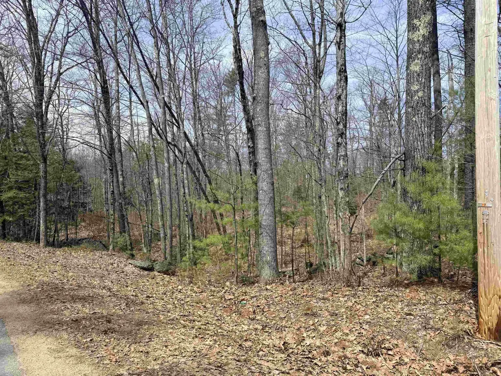 Map 208 Lot 8 Baptist Hill Road Canterbury NH 03224