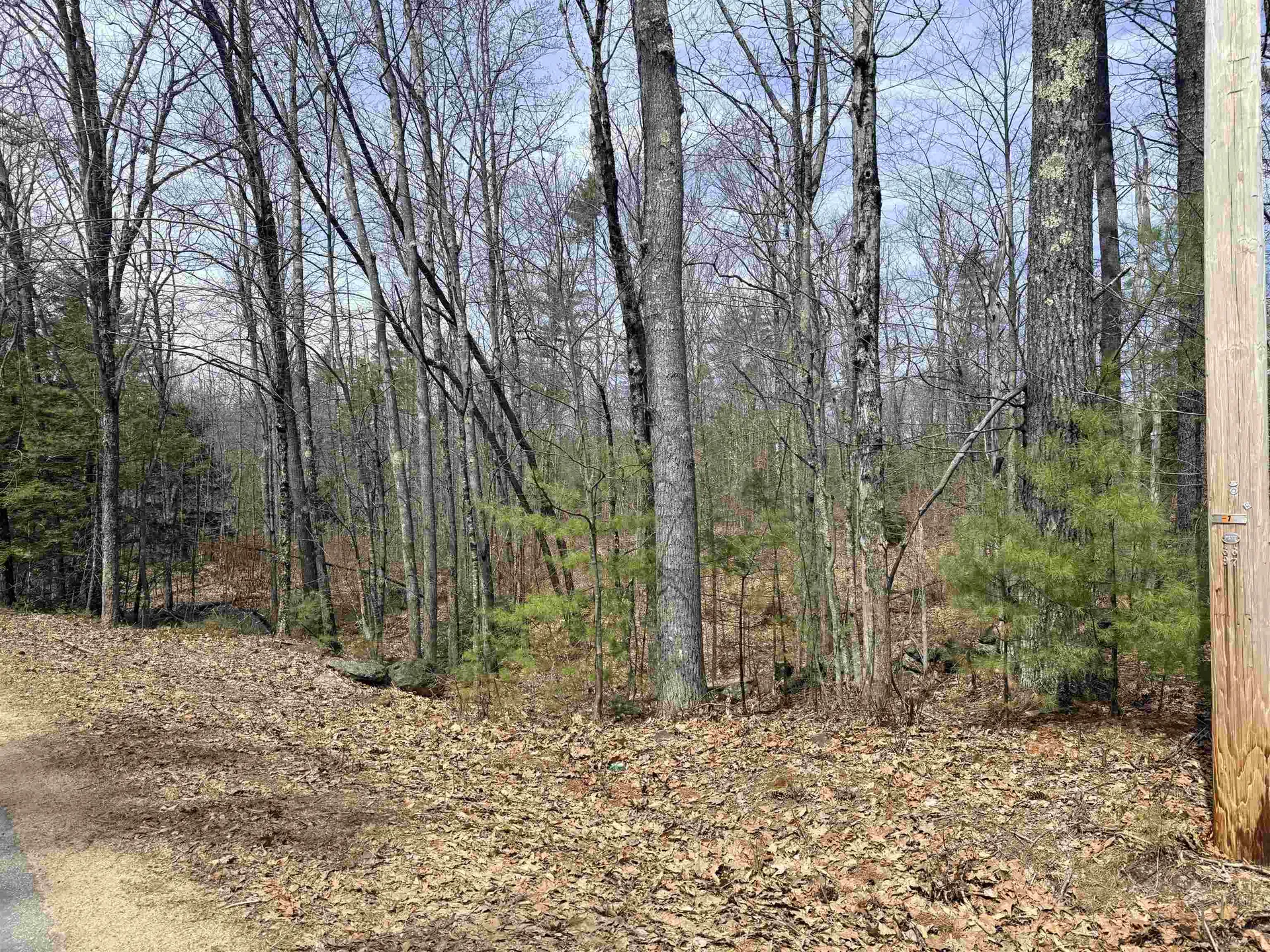Map 208 Lot 8 Baptist Hill Road Canterbury NH 03224