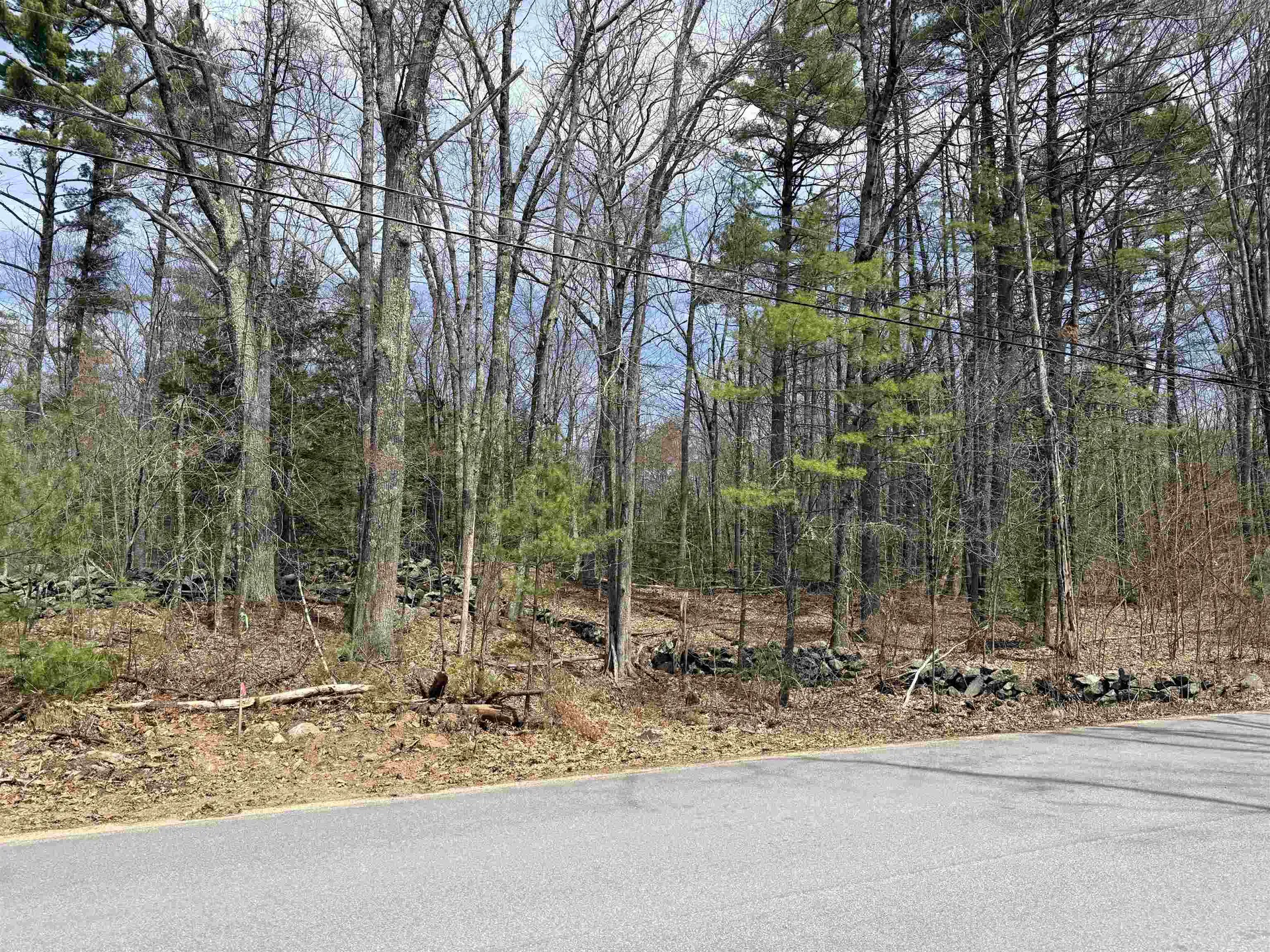 Map 208 Lot 8 Baptist Hill Road Canterbury NH 03224
