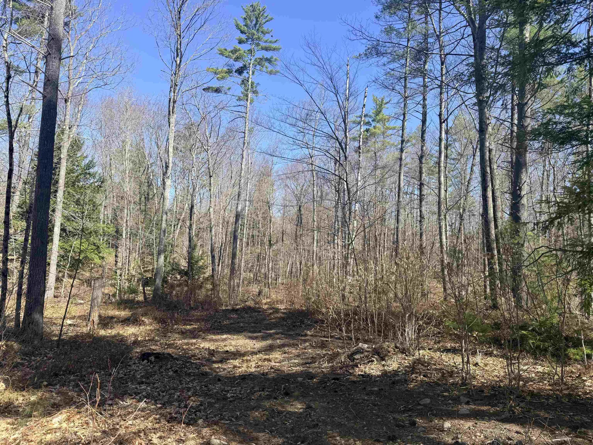 Map 208 Lot 8-1 Baptist Hill Road Canterbury NH 03224