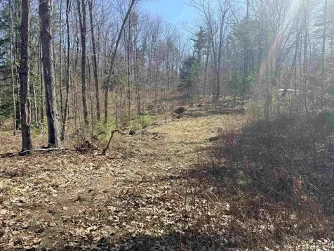 Map 208 Lot 8-1 Baptist Hill Road Canterbury NH 03224