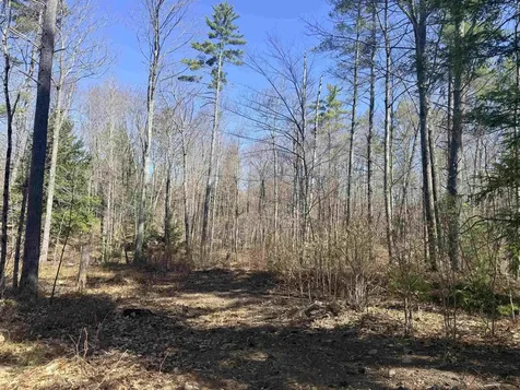 Map 208 Lot 8-1 Baptist Hill Road Canterbury NH 03224