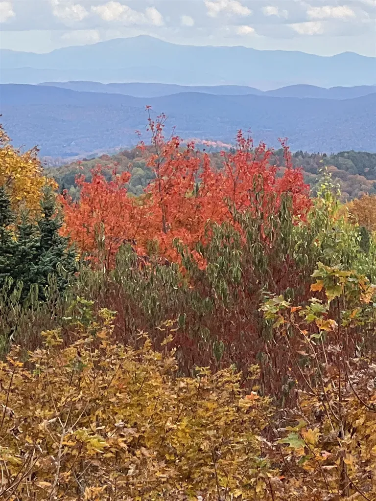 40 Gore Road Danville VT 05828