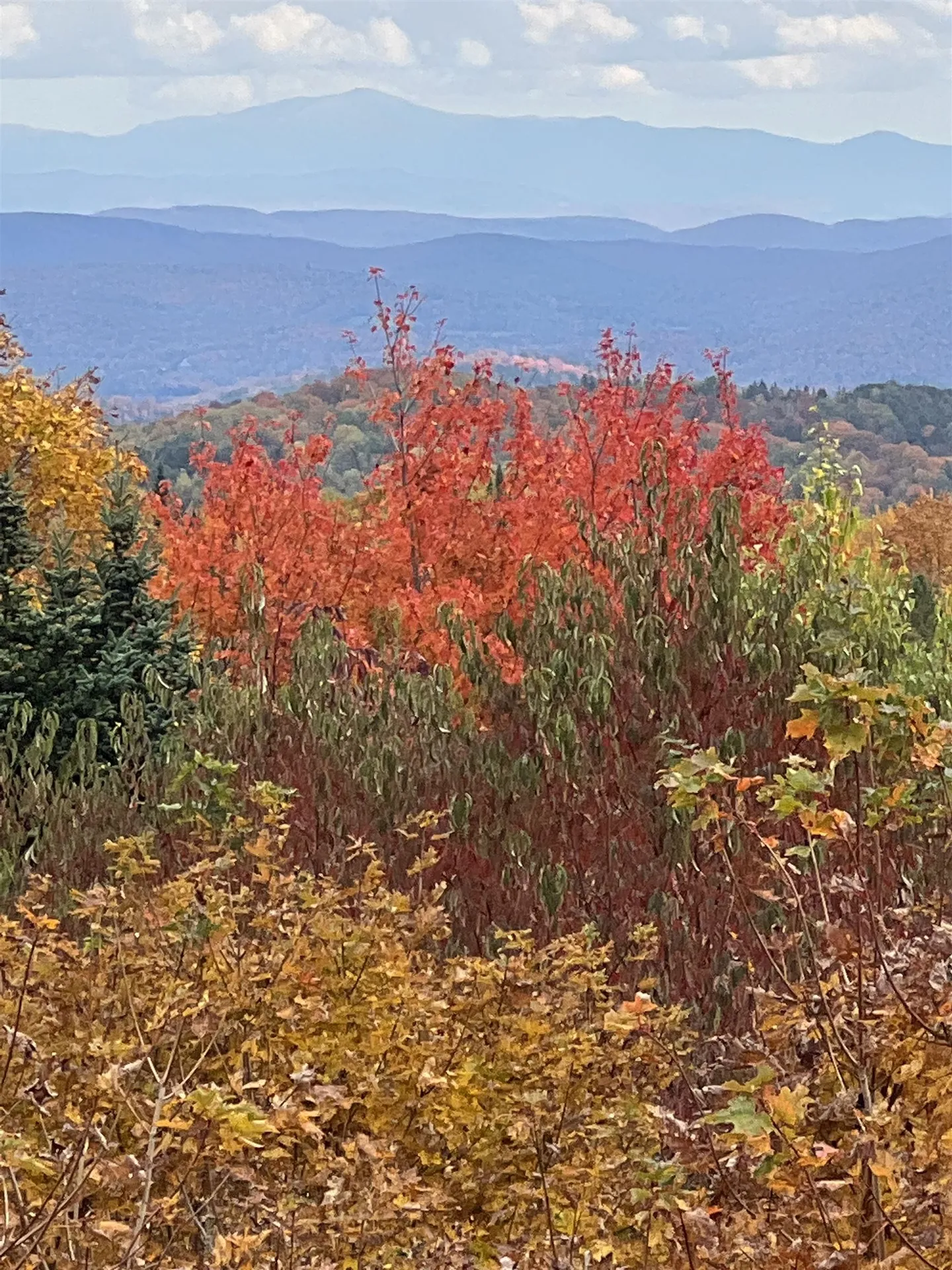 40 Gore Road Danville VT 05828