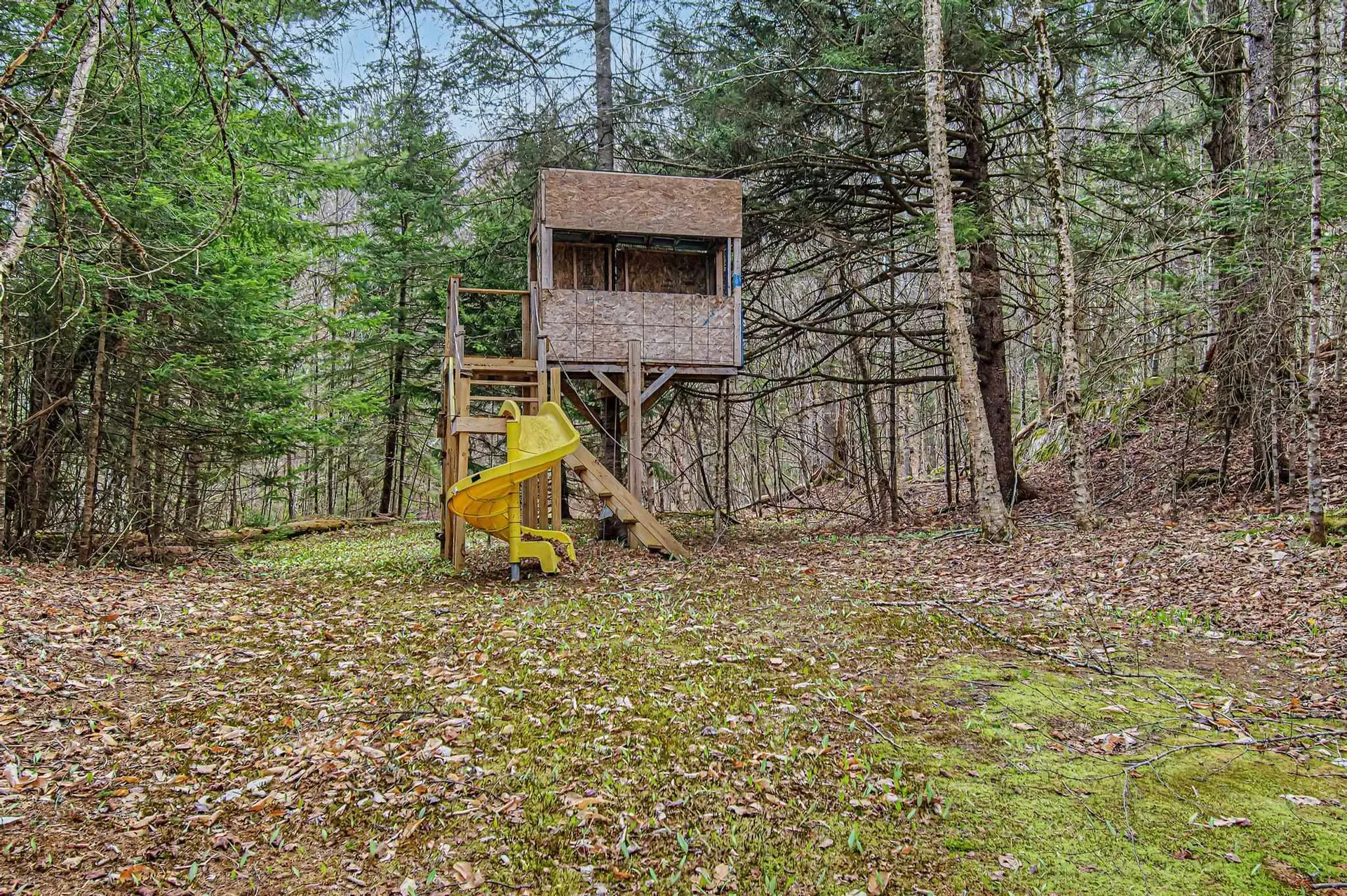 2212 Symonds Mill Road Elmore VT 05657