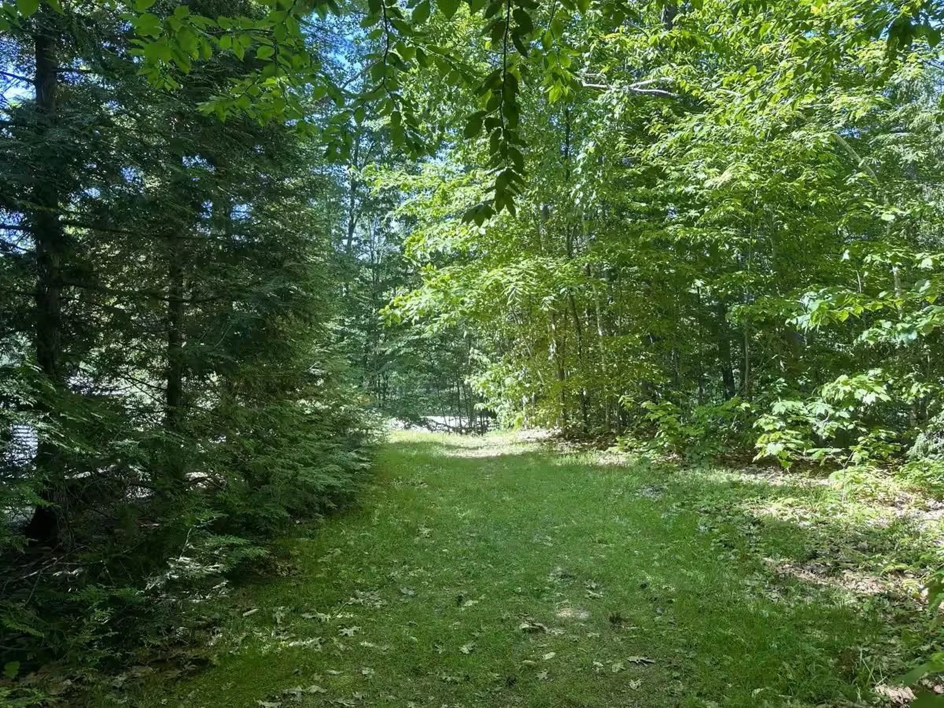 179 Rebecca Lane Conway NH 03813