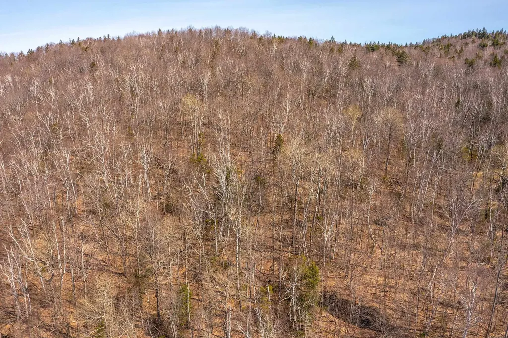 769 Straight Road Mount Holly VT 05730