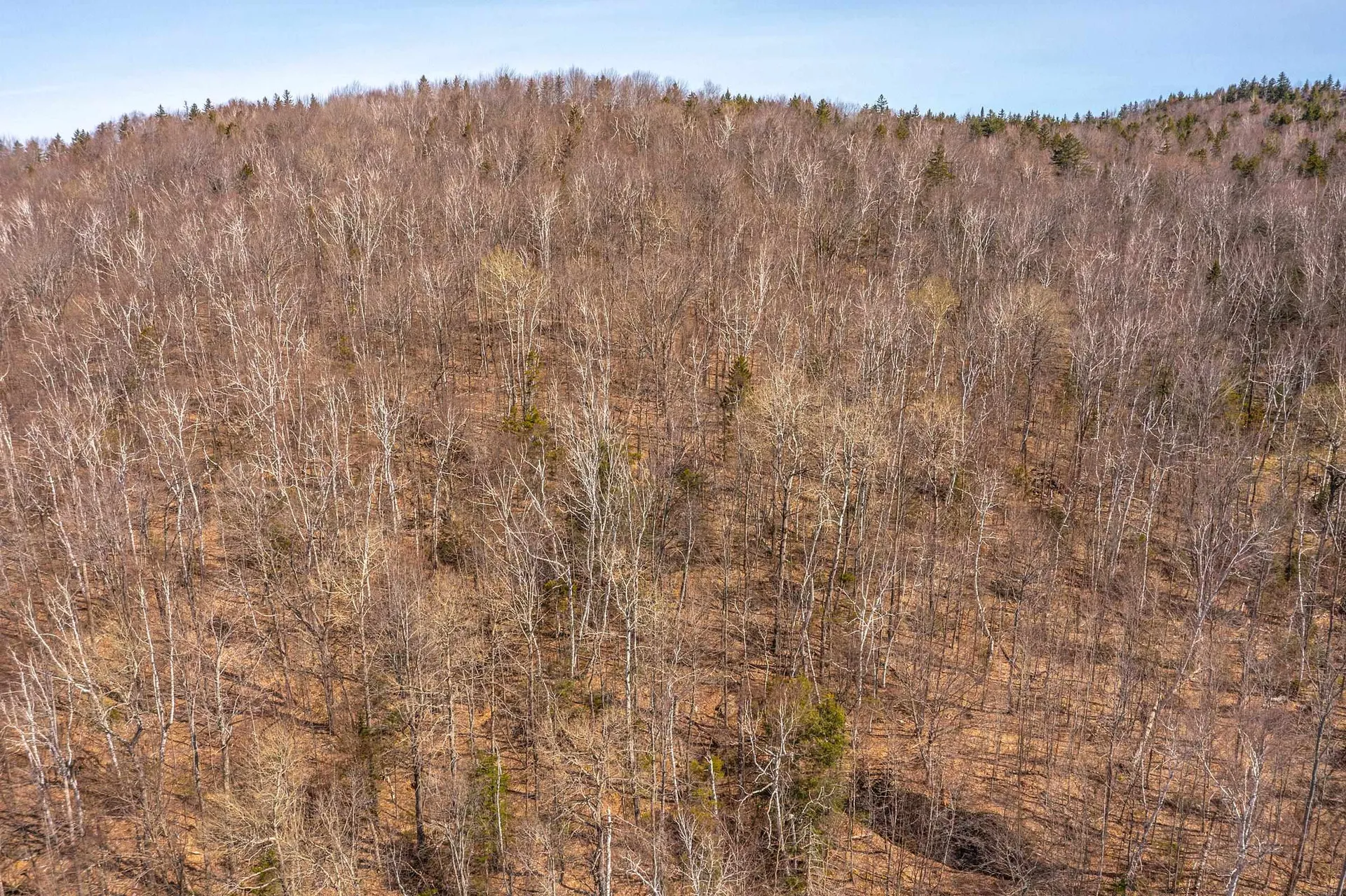 769 Straight Road Mount Holly VT 05730