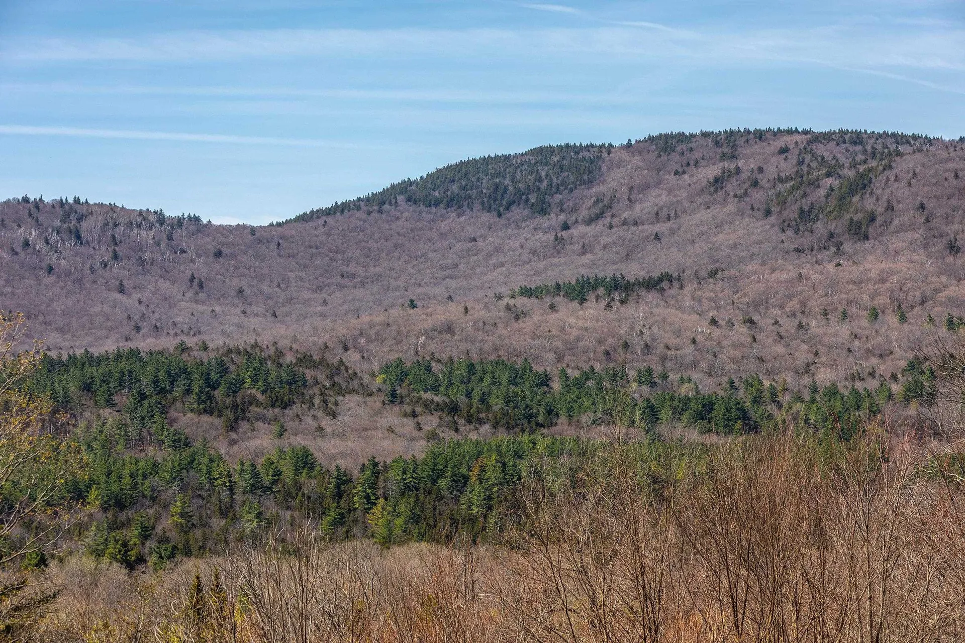 769 Straight Road Mount Holly VT 05730