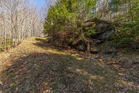 769 Straight Road Mount Holly VT 05730