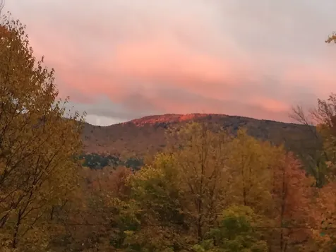 769 Straight Road Mount Holly VT 05730