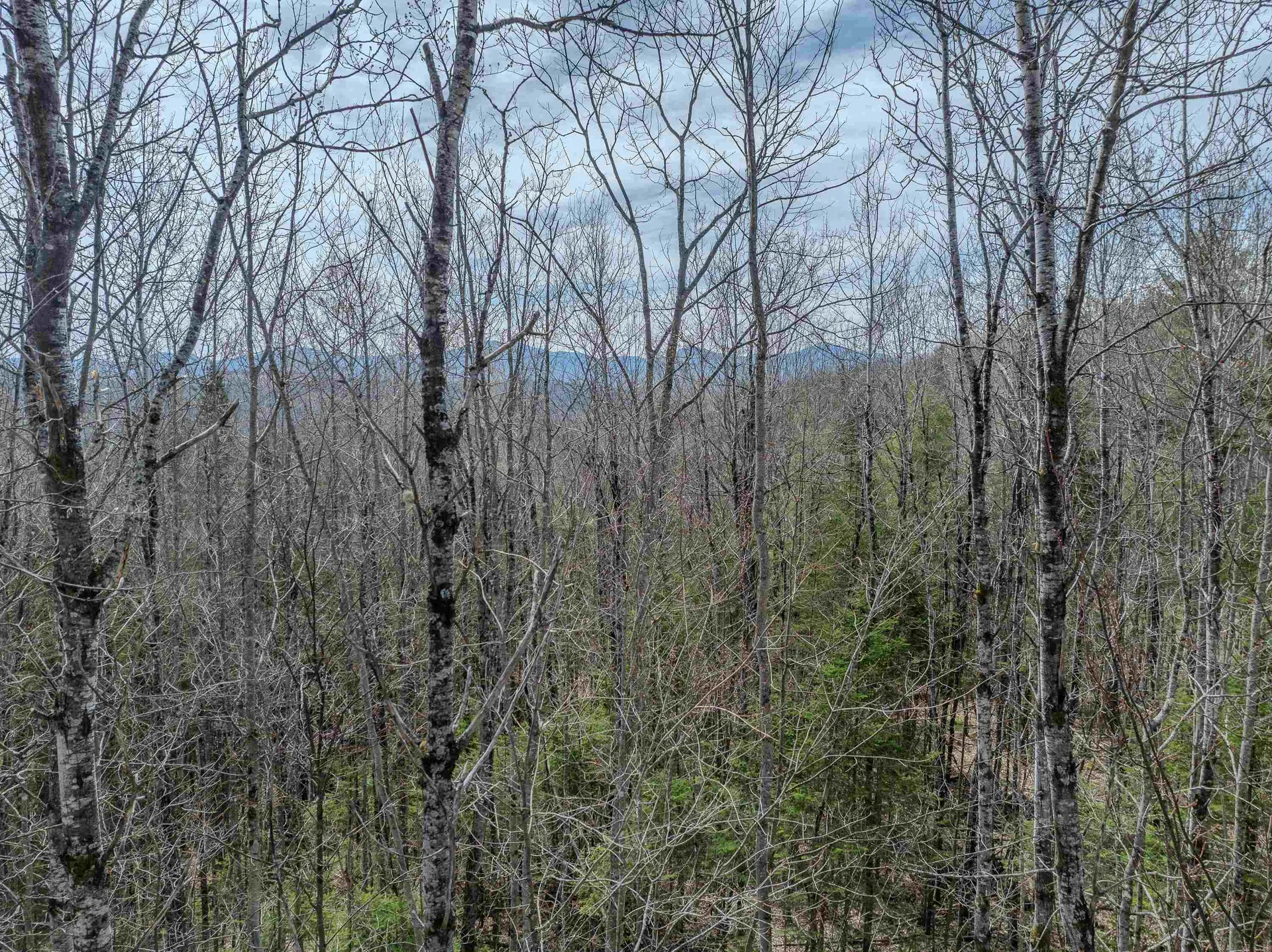 Lot 2 Mountain Road Dalton NH 03598