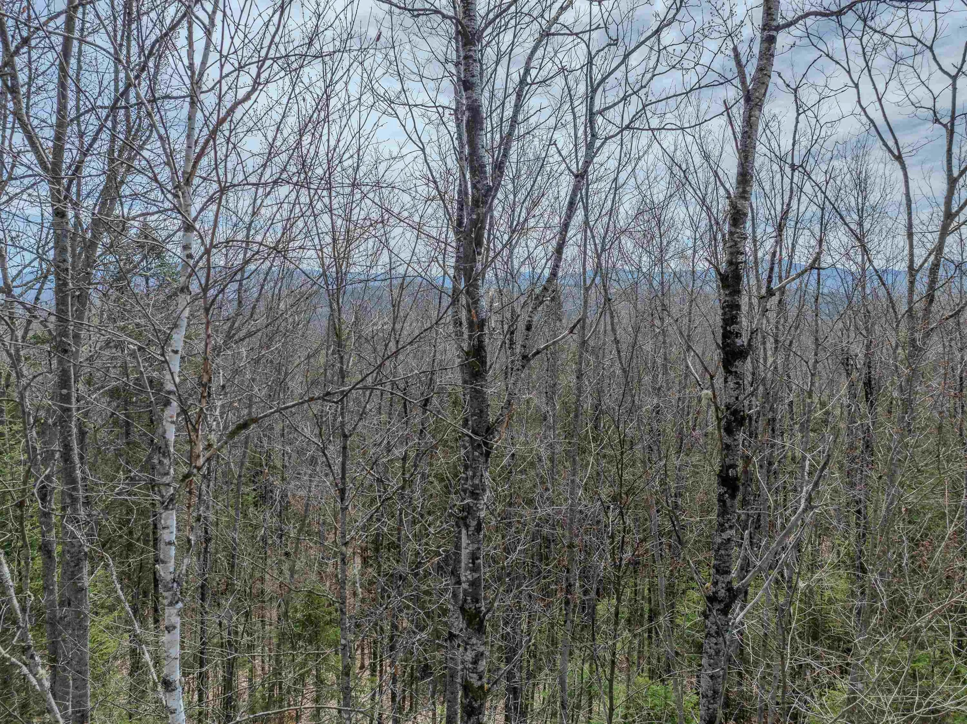 Lot 2 Mountain Road Dalton NH 03598