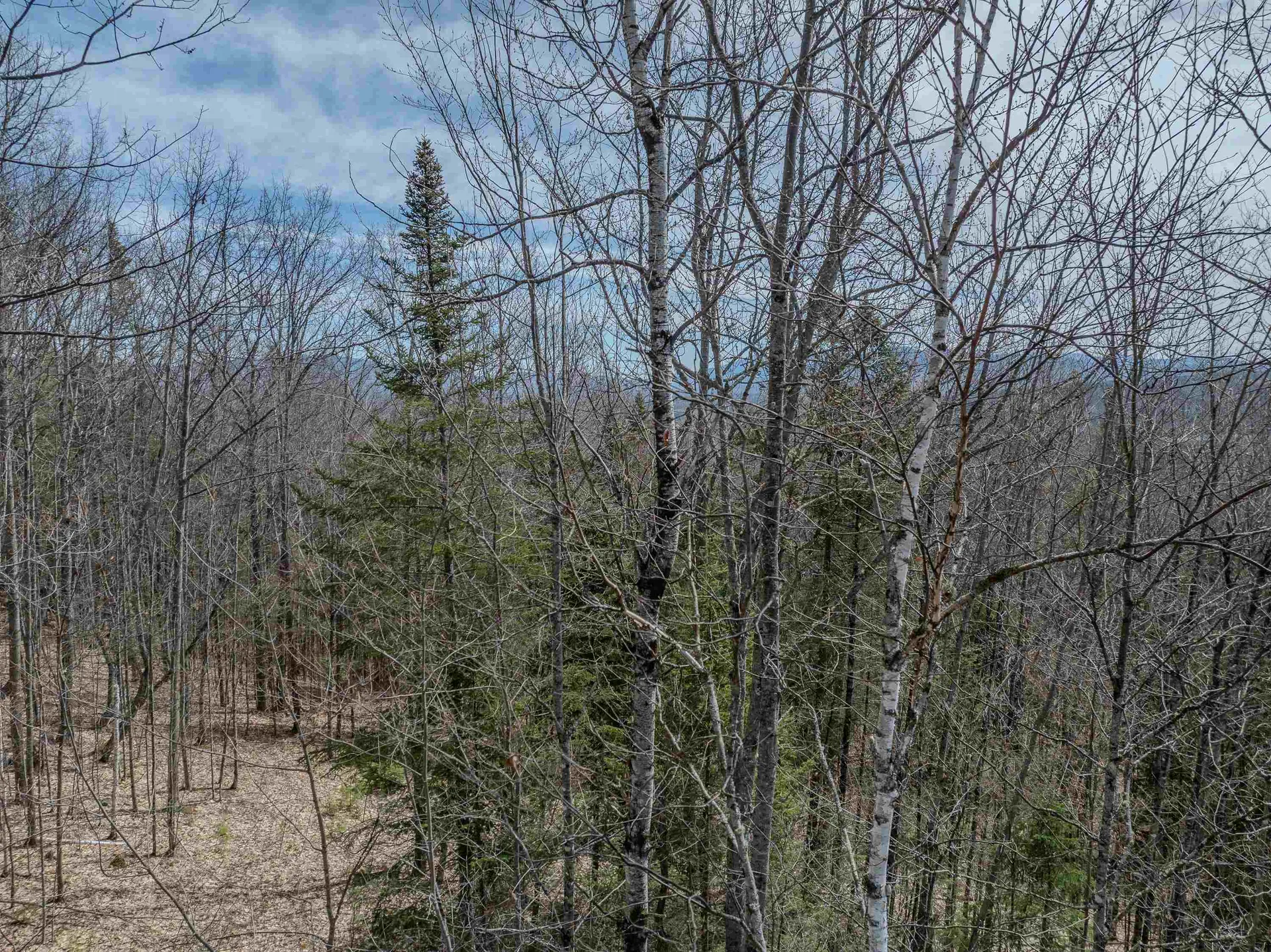 Lot 2 Mountain Road Dalton NH 03598