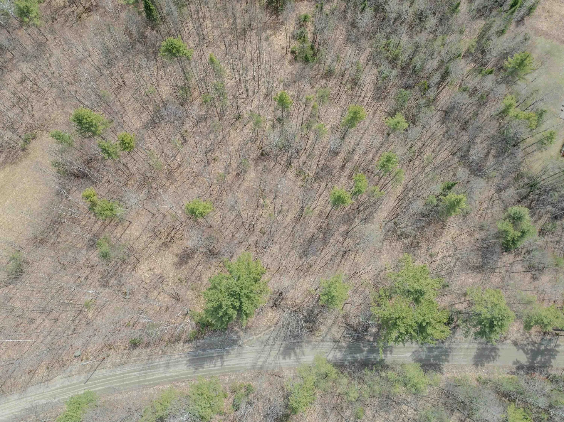 Lot 2 Mountain Road Dalton NH 03598