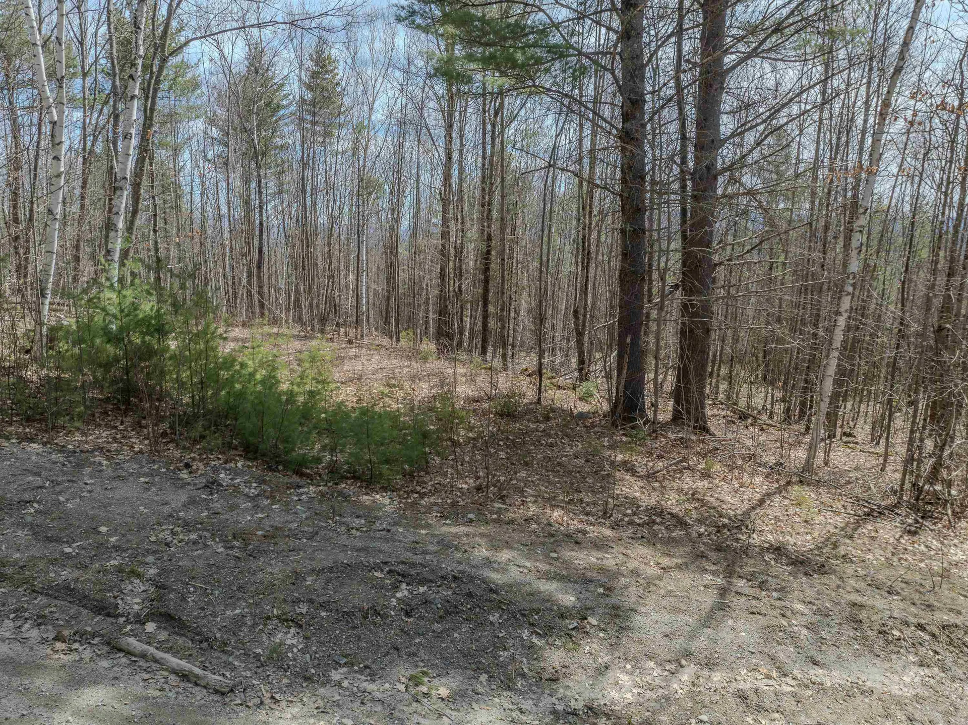 Lot 2 Mountain Road Dalton NH 03598