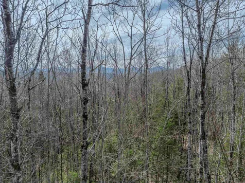 Lot 2 Mountain Road Dalton NH 03598