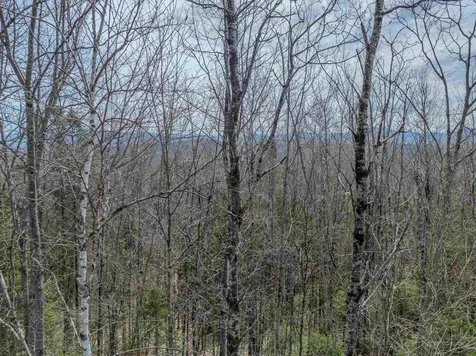 Lot 2 Mountain Road Dalton NH 03598